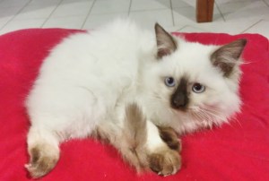 I am ready to be admired