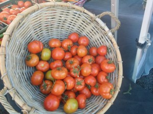 hayters hill tomatoes