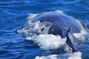 I've got my after burners on