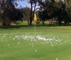 We're all getting closer to the pin! Yay!