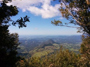 View from the Border track to Mount Warning and the Pacific Ocean.