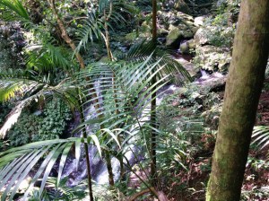 IMG_20150929_102552 (1)