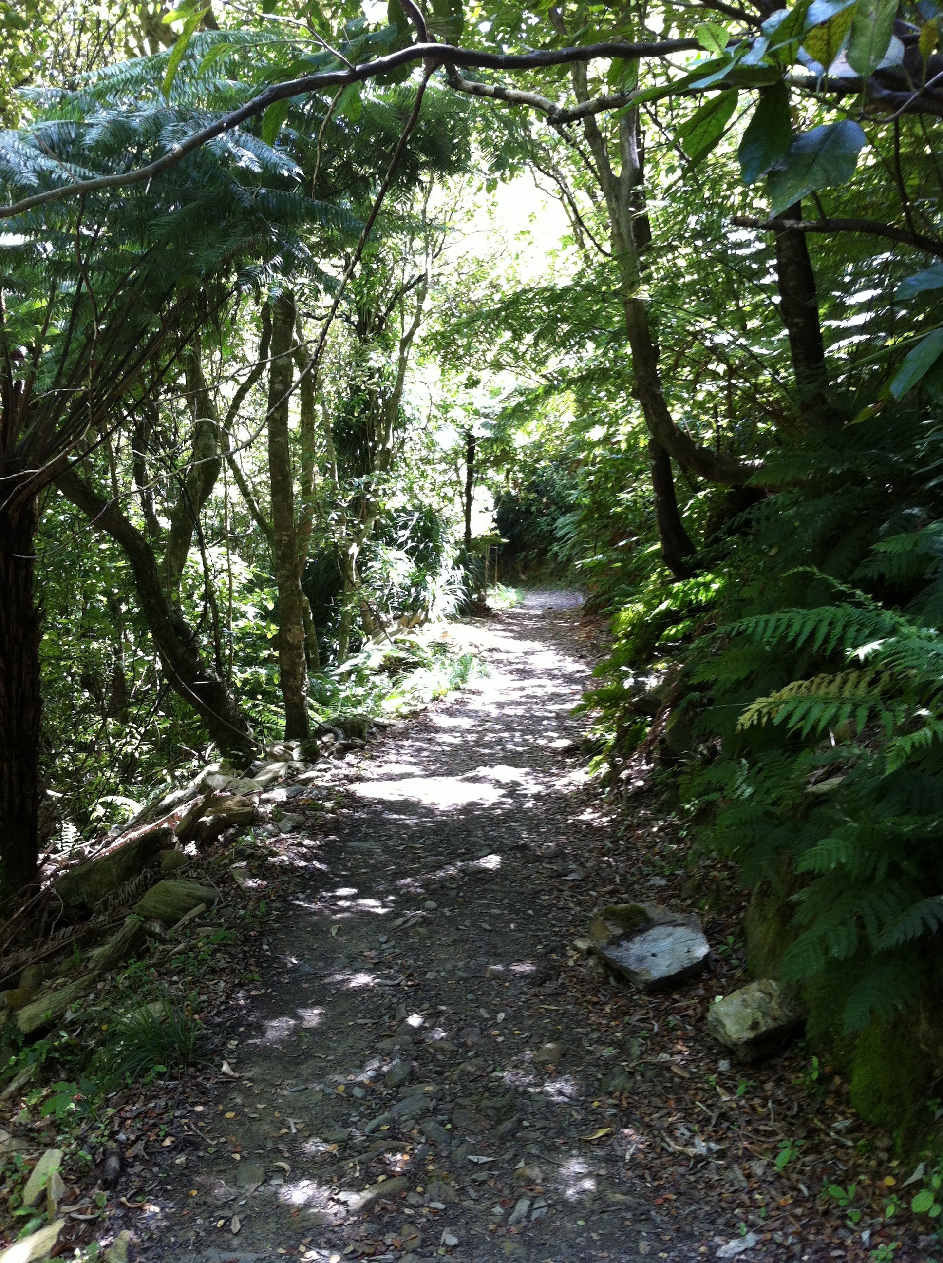 path from resolution bay