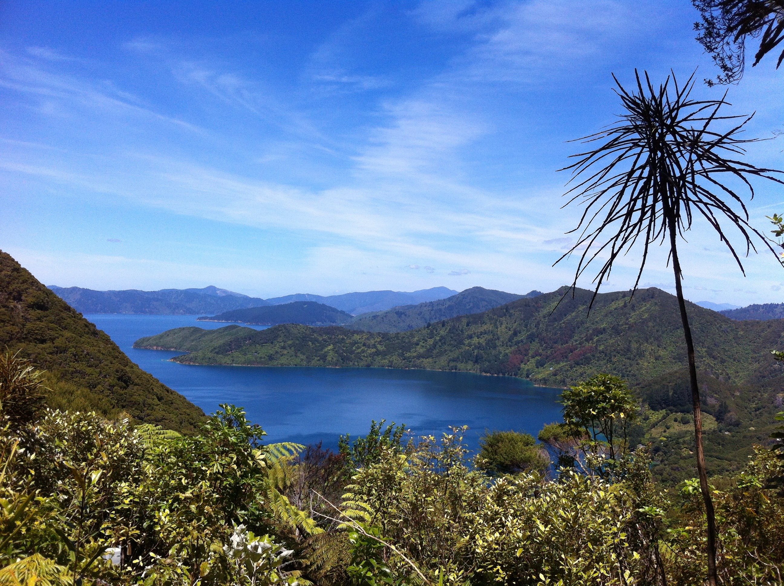 Queen Charlotte from the lookout