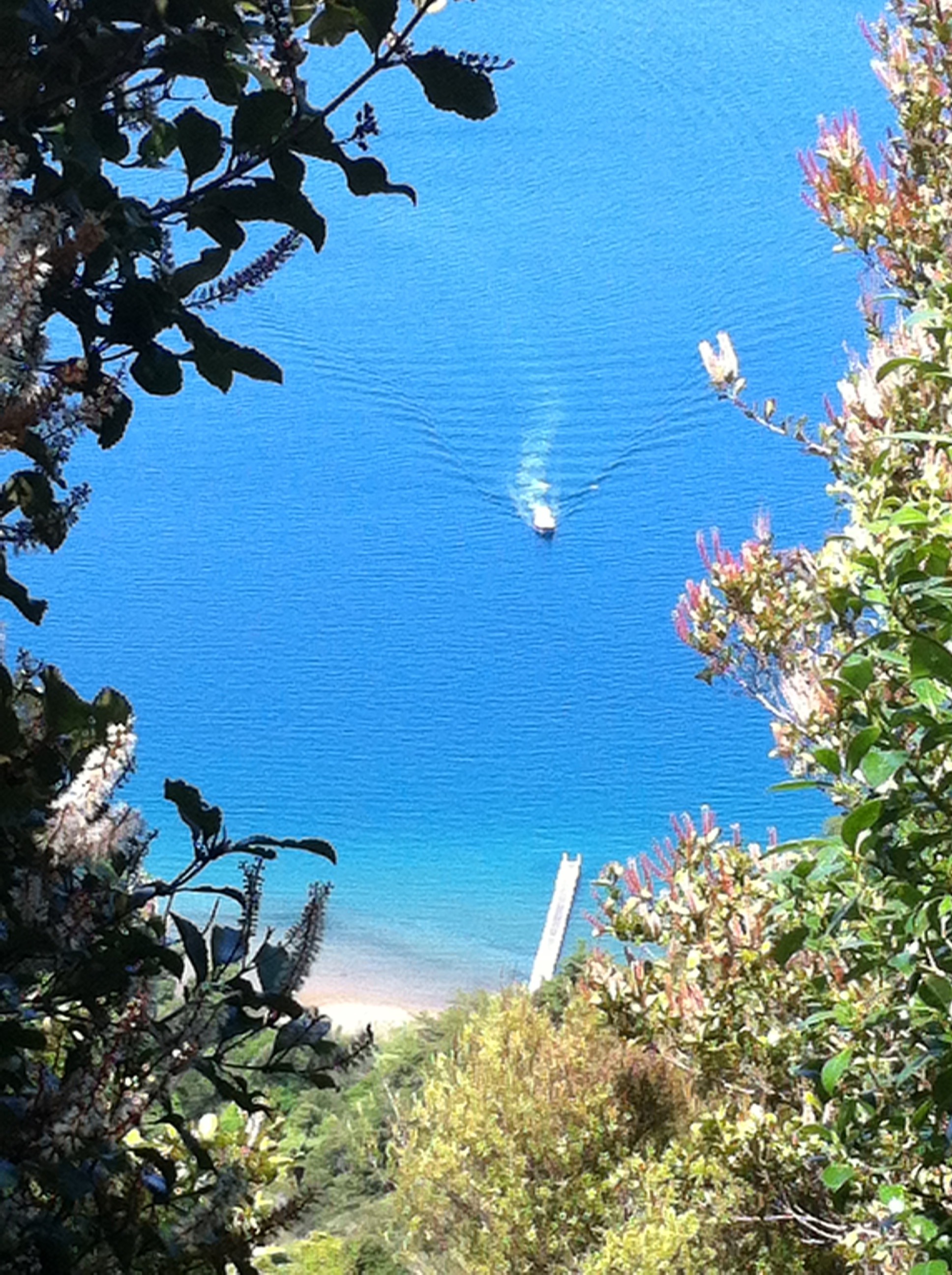 view of ships cove after the big first climb