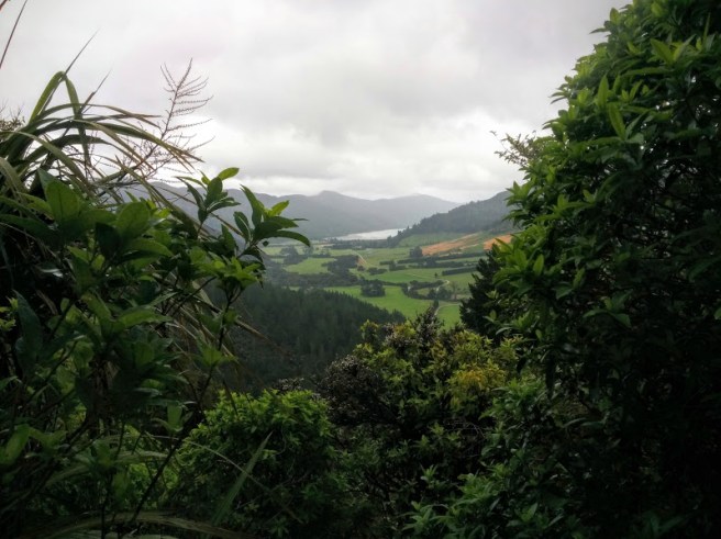 looking down into the valley
