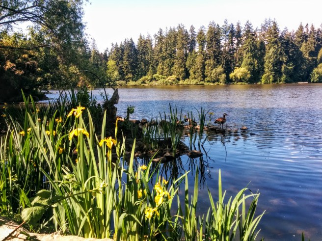 lost lagoon in stanley park