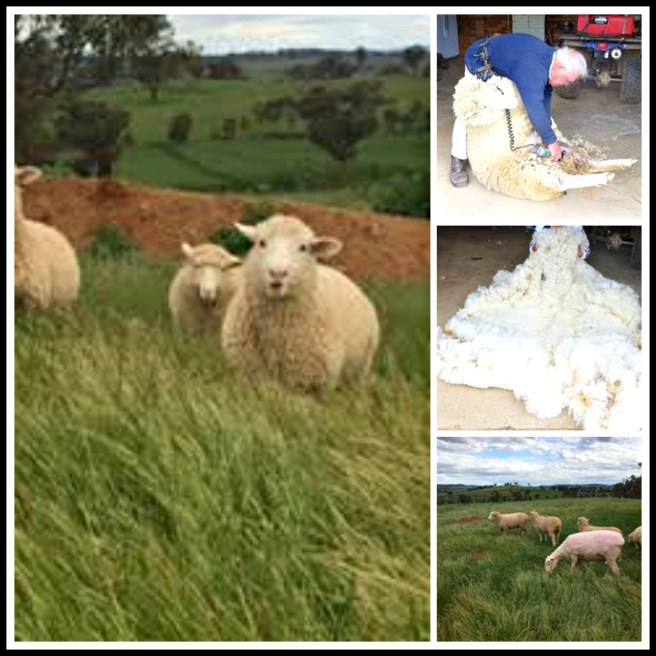 picmonkey-image-marjorie