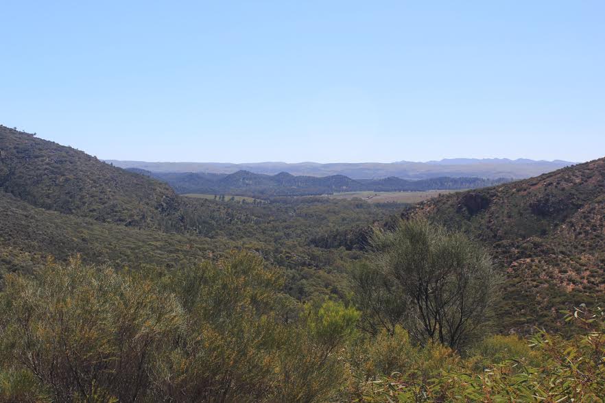 view-from-the-lookout