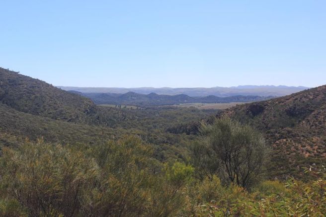 view-from-the-lookout