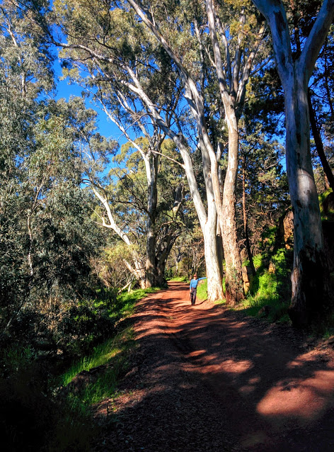 walk-in-wilpena-pound