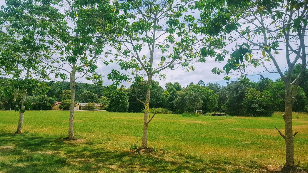 avenue-to-football-ground