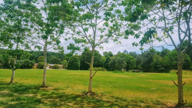 avenue-to-football-ground