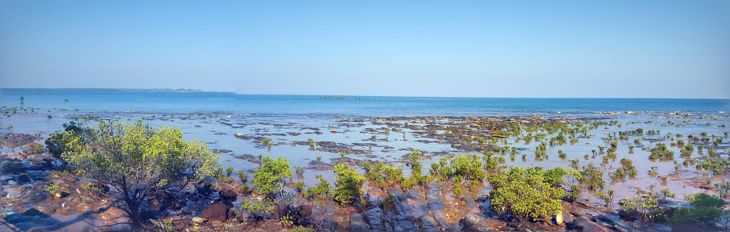 20170726_095528-PANO