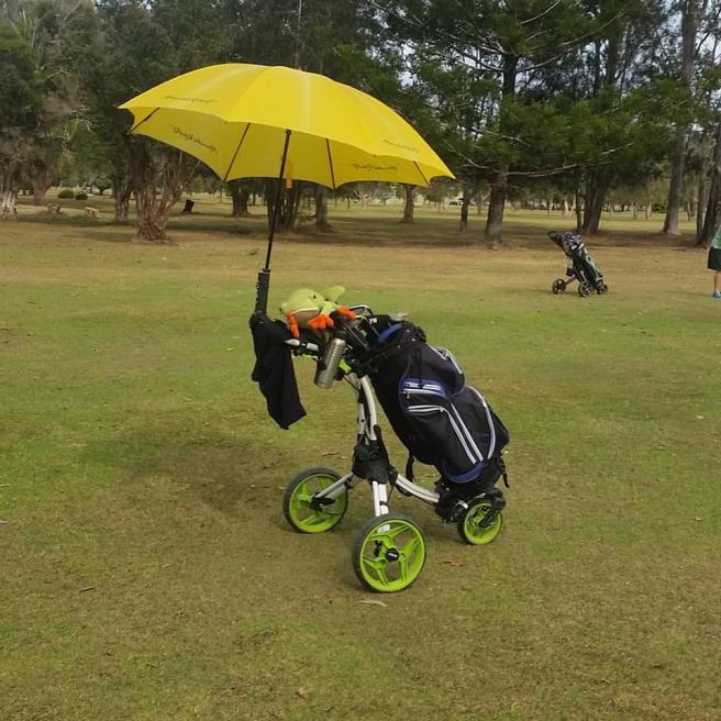 21762218_10155736034488343_6319148936383129821_n