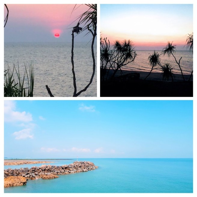 20a32b7f-2c23-44f4-a96b-2f34cabec13a-collage