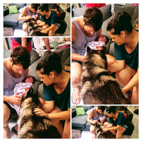 hannibal meets ilyssia